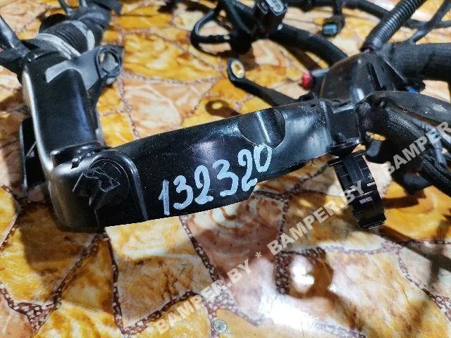 Проводка двигателя к Peugeot 407, 2009 г.