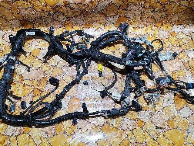 Проводка двигателя к Peugeot 407, 2009 г.