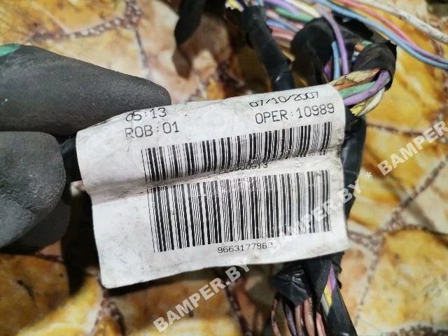 Проводка двигателя к Peugeot 307, 2008 г.
