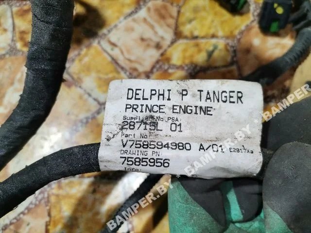 Проводка двигателя к Citroen C4, 2010 г.