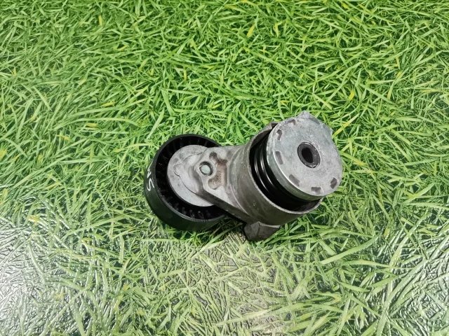 Натяжитель ремня генератора к Renault Megane, 2005 г.