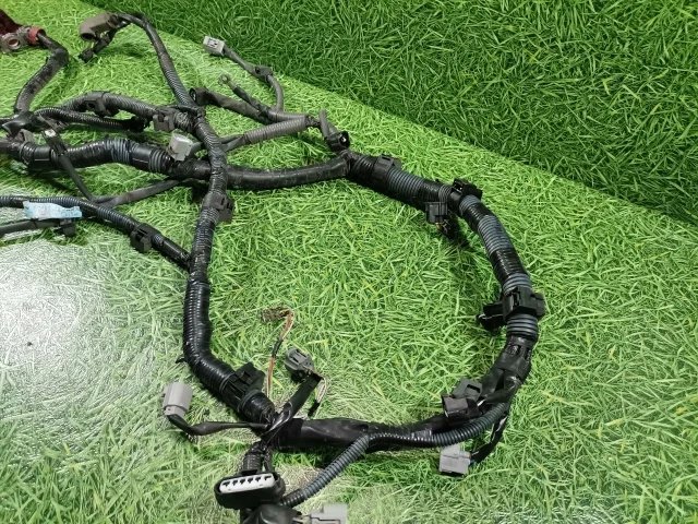 Проводка двигателя к Toyota Corolla Verso, 2005 г.